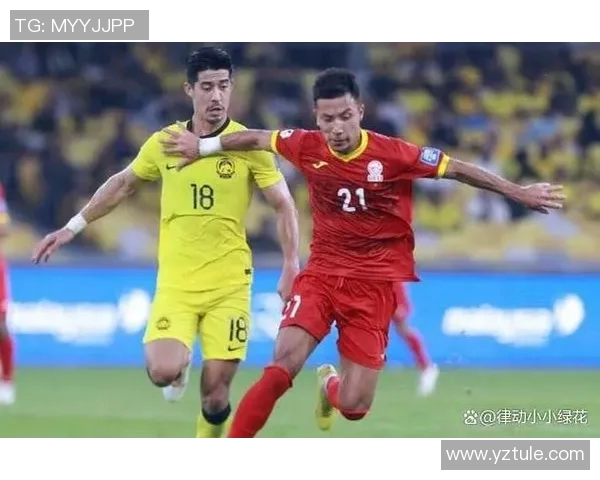 中国足球冷门明星盘点他们的故事与成就值得关注