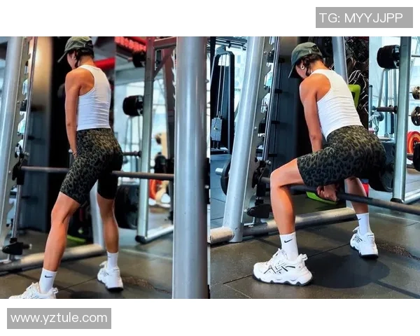 全面解析臀部健身器材使用方法与效果图解助你打造完美翘臀